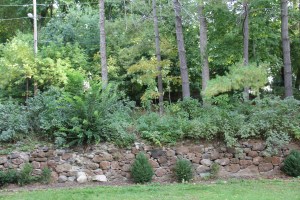 The view from the front of the house -- those bushes above the rock wall (lilacs!)are at street level.