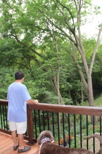 Watching for squirrels