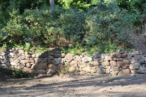 walden and furniture 001