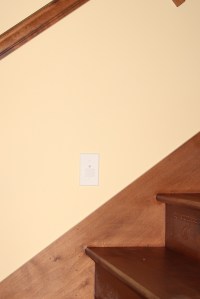 Walden last week c 018