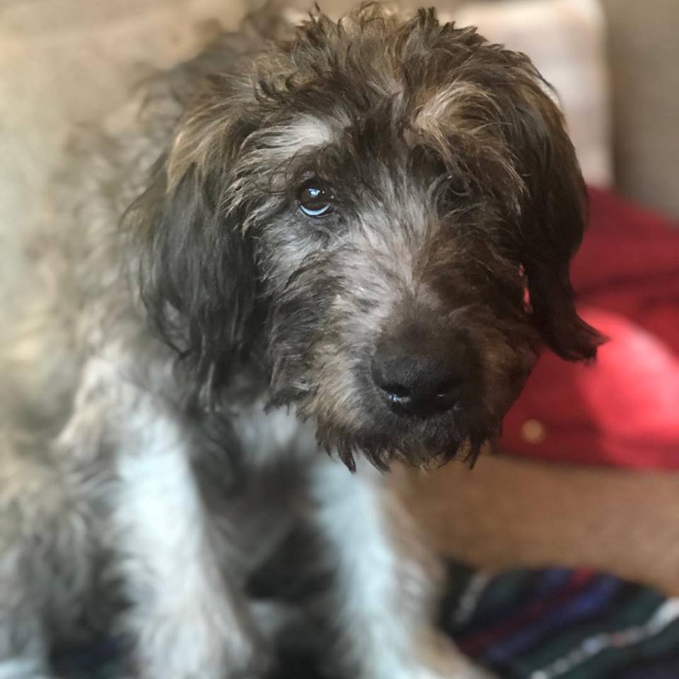 46302869_10217480512714991_792672863432736768_n